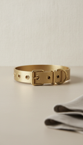 Brushed Brass Dog Collar