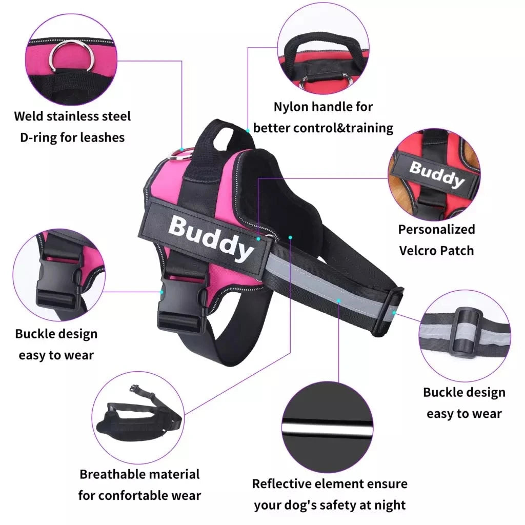 ProjectPaw™ Personalized No-Pull Dog Harness