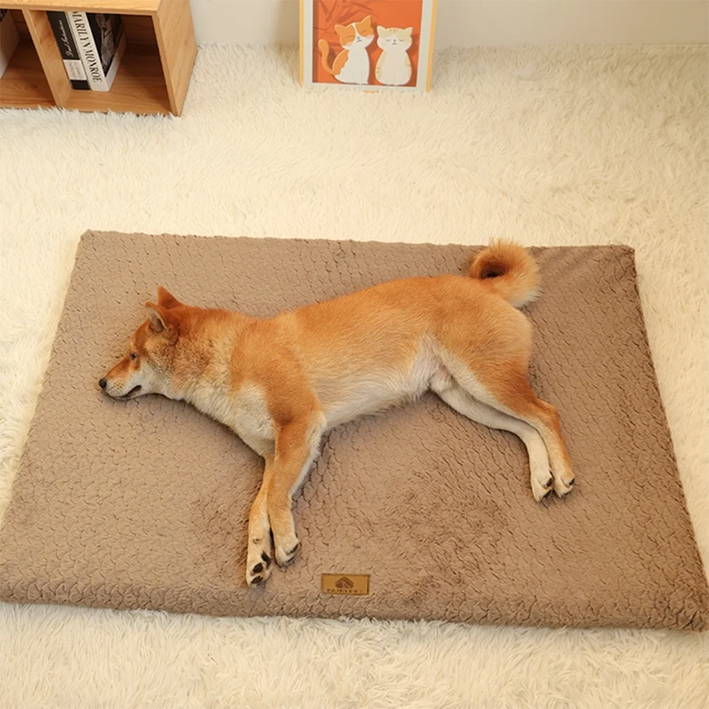 ProjectPaw™ Premium Orthopedic Memory Foam Pet Bed