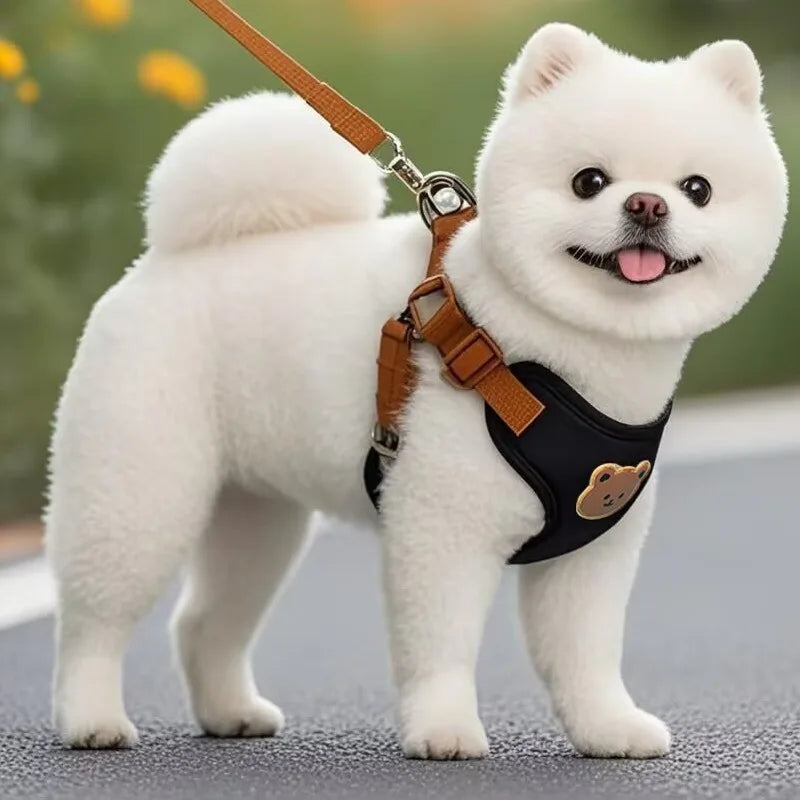 ProjectPaw™ Premium Comfort Pet Harness & Leash Set | Breathable & Secure