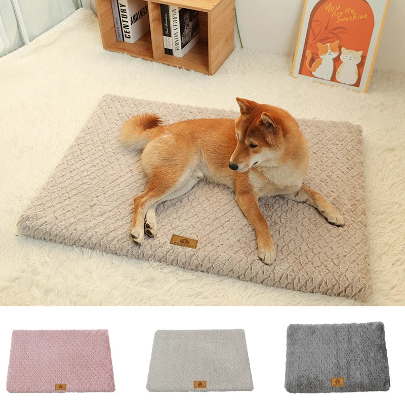 ProjectPaw™ Premium Orthopedic Memory Foam Pet Bed