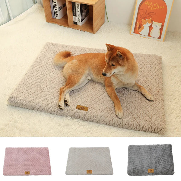 ProjectPaw™ Premium Orthopedic Memory Foam Pet Bed
