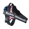 ProjectPaw™ Personalized No-Pull Dog Harness