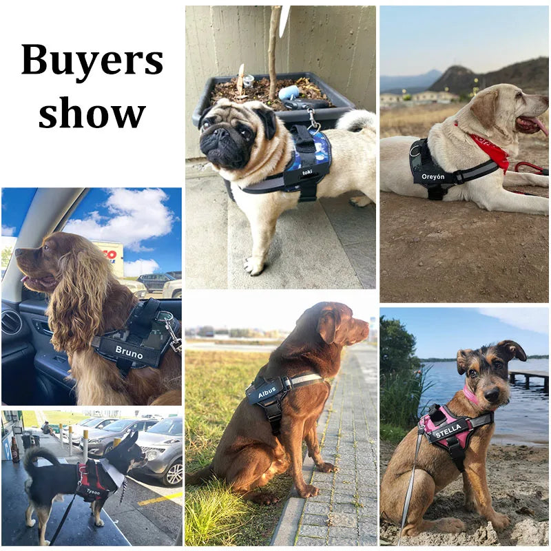 ProjectPaw™ Personalized No-Pull Dog Harness