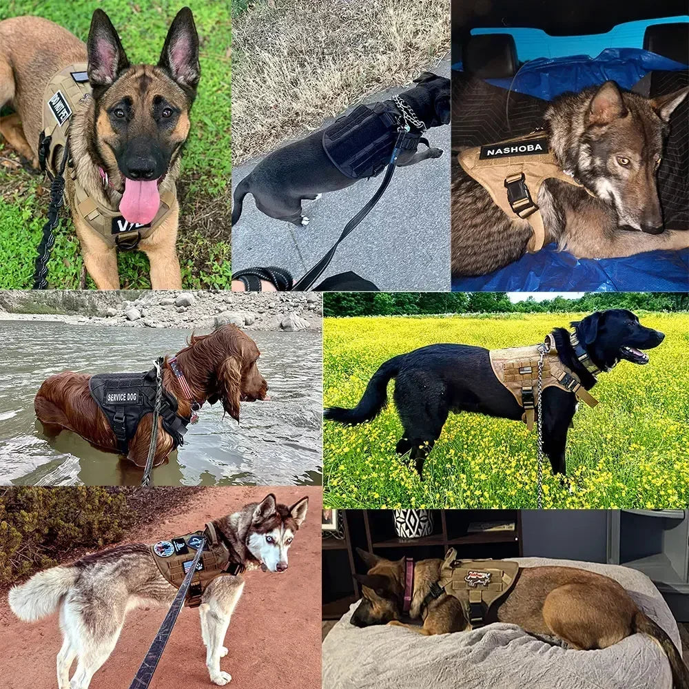 ProjectPaw™ Military Tactical Dog Harness