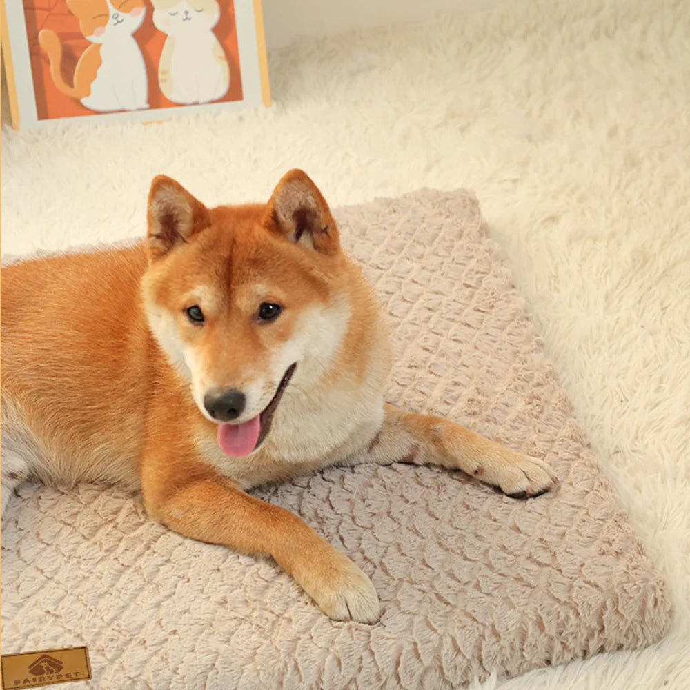 ProjectPaw™ Premium Orthopedic Memory Foam Pet Bed
